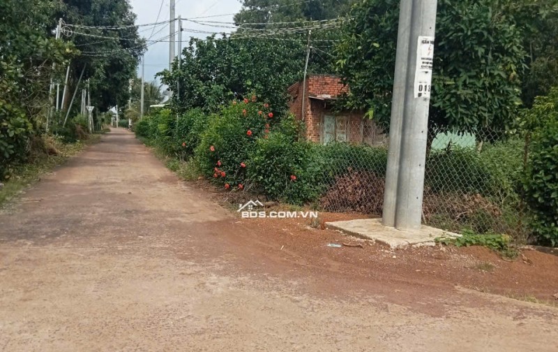 5 sào đất cần bán gấp tại cẩm mỹ đồng nai